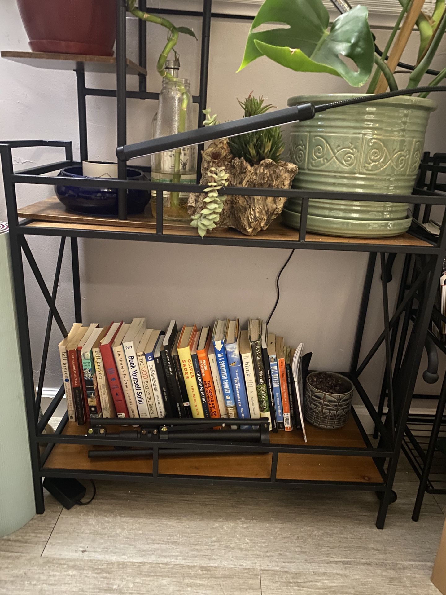 Book Shelf/Plant Stand