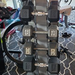 Weight rack With Weights