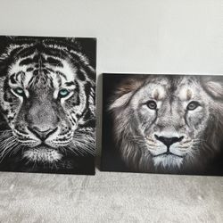 Tiger And Lion Wall Paintings!