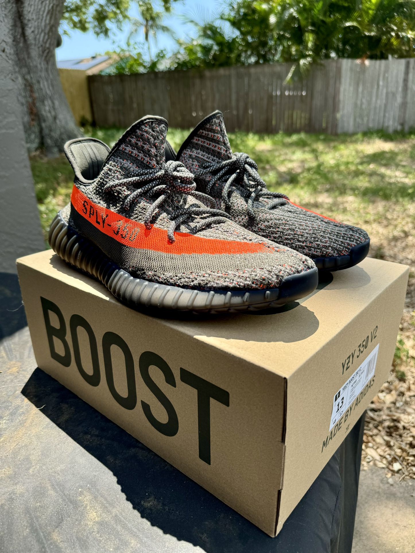 Yeezy 350 Carbon Beluga