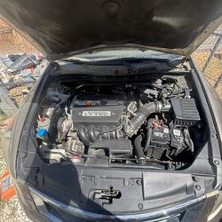 2008 Honda Accord Ex