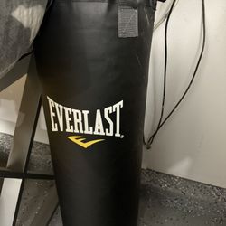 Everlast Punching bag+gloves+ hook