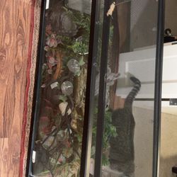 55 Gallon Snake Tank With Everything You Need