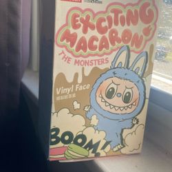 Exiting Macaron Labubu