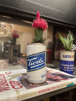 Vintage Trivoli Beer Can With Cactus
