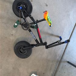 Modded Out Fatboy Bike