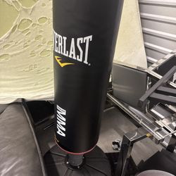 Everlast MMA punching Bag