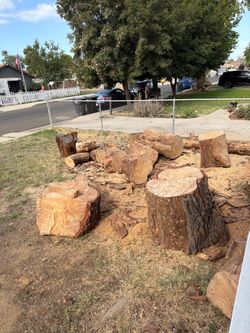 Free Wood