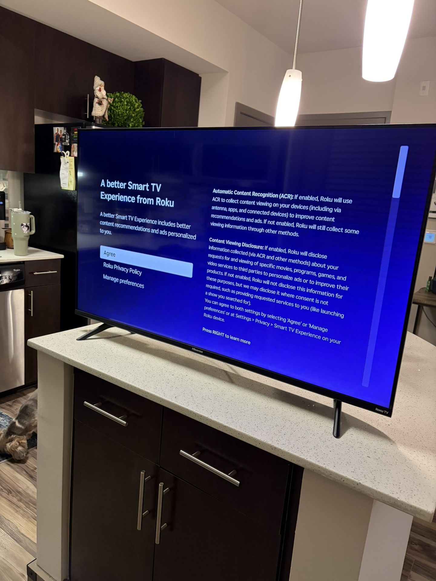 43” Roku Hisense SMART TV