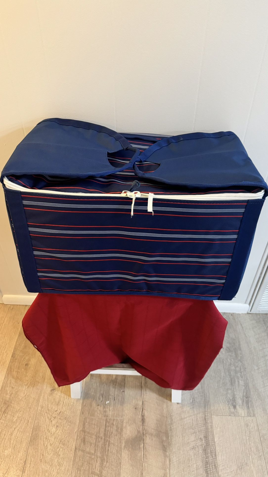 Insulated Food/Drink Carry Bag