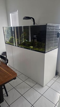 Waterbox 220.6 aquarium fish tank