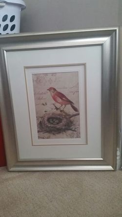 Bird wall frame..