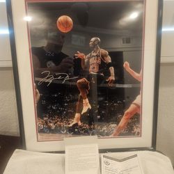 Michael Jordan Signed UDA The Fluck 16x2 NEW