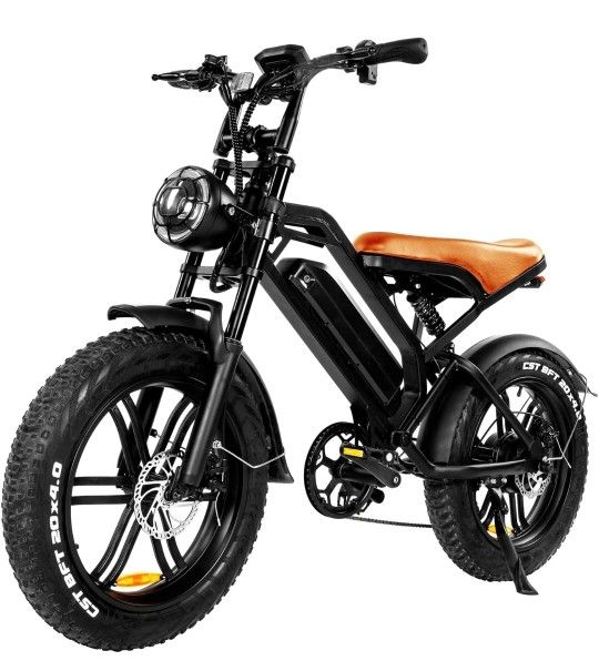 Electric Bike