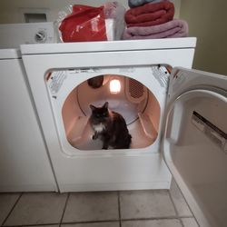 White washer and dryer