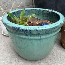 Beautiful Ceramic Pot for Indoor/Outdoor Plants