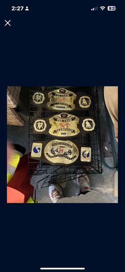 Kids WWE Titles John Cena