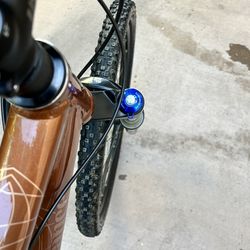 Mountain Bike: Giant Trance 2