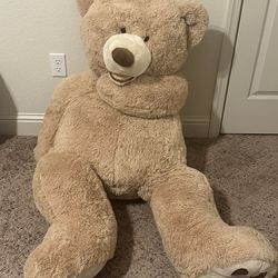 5 ft 8 in Teddy bear