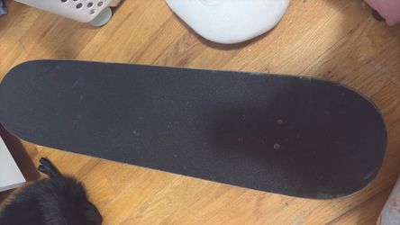 Cat skateboard