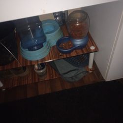Feeding And Watering Bowls 