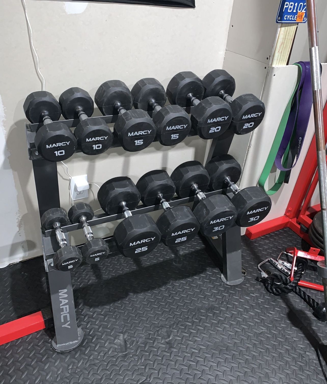Dumbells & Stand