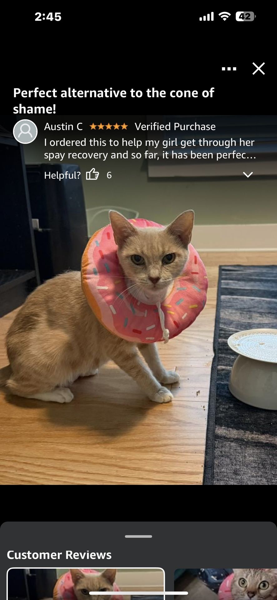 Cute Cat Donut Adjustable Cat Cones to Stop Licking Comfortable Lightweight Neck Elizabethan Collars for Cats Kittens After Surgery