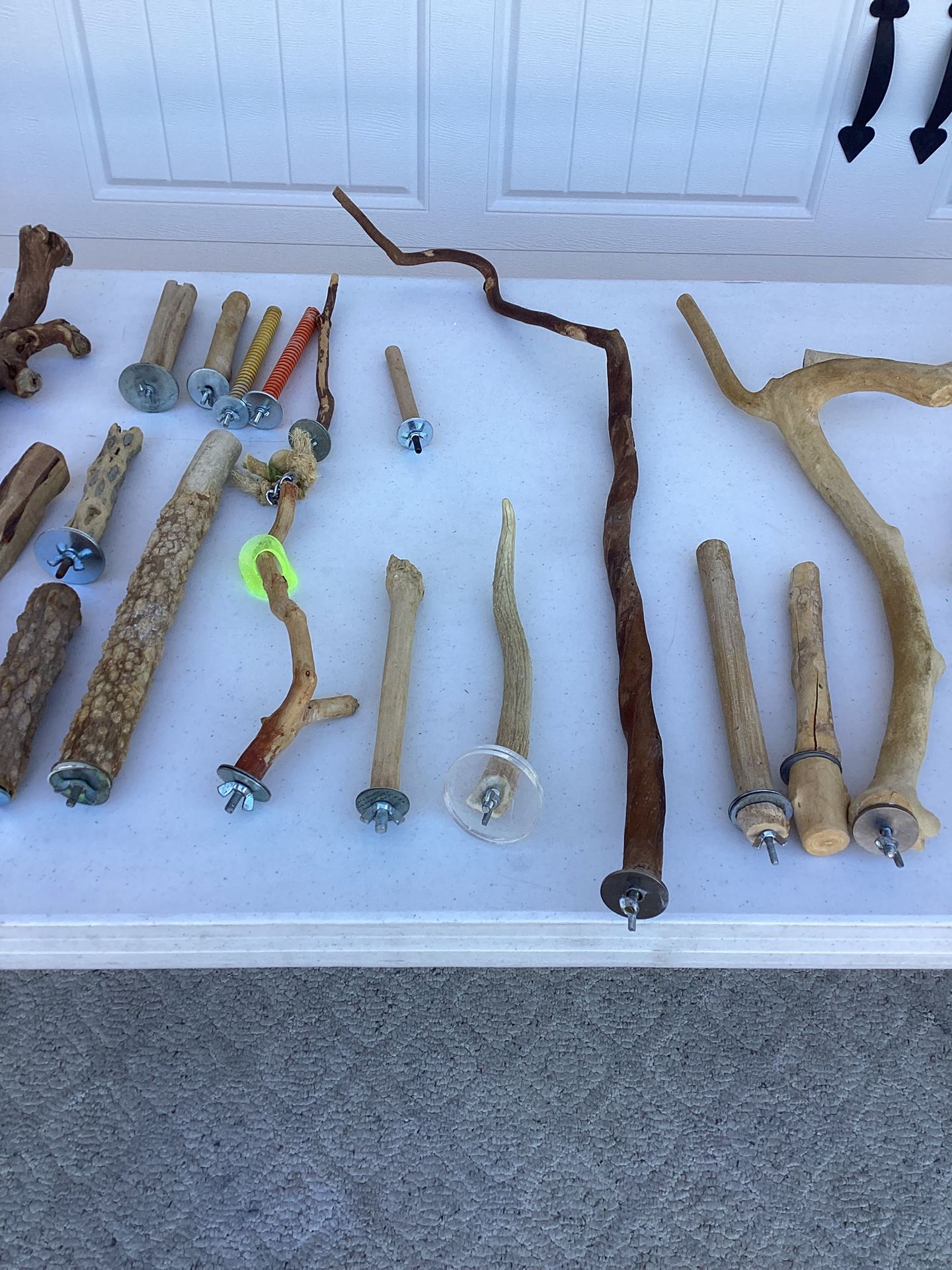 Bird / Parrot / Lots Of Related Items