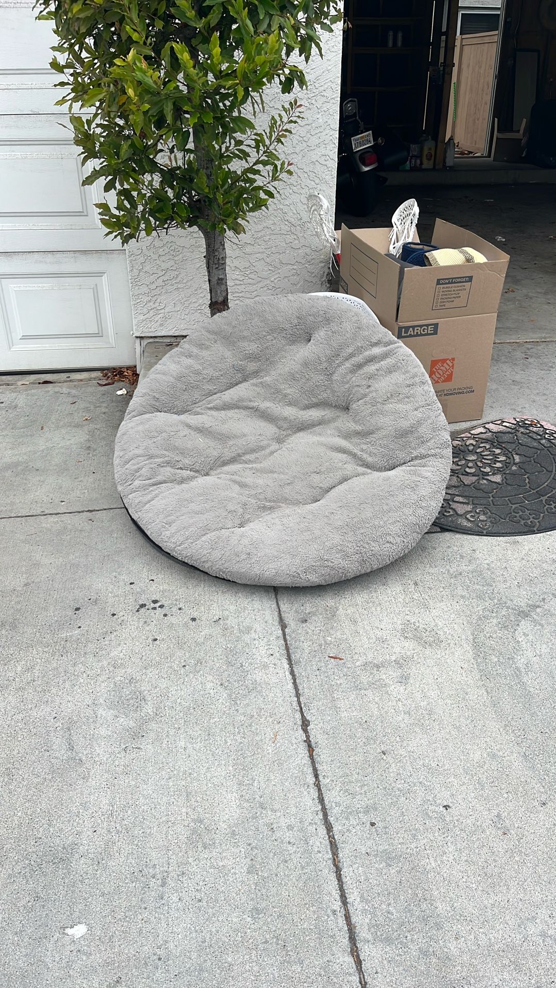 Dog Bed Free