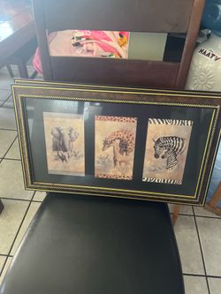 Animal frame