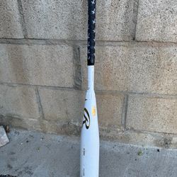 Professional Baseball Bat