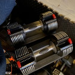 Adjustable Dumbbells 