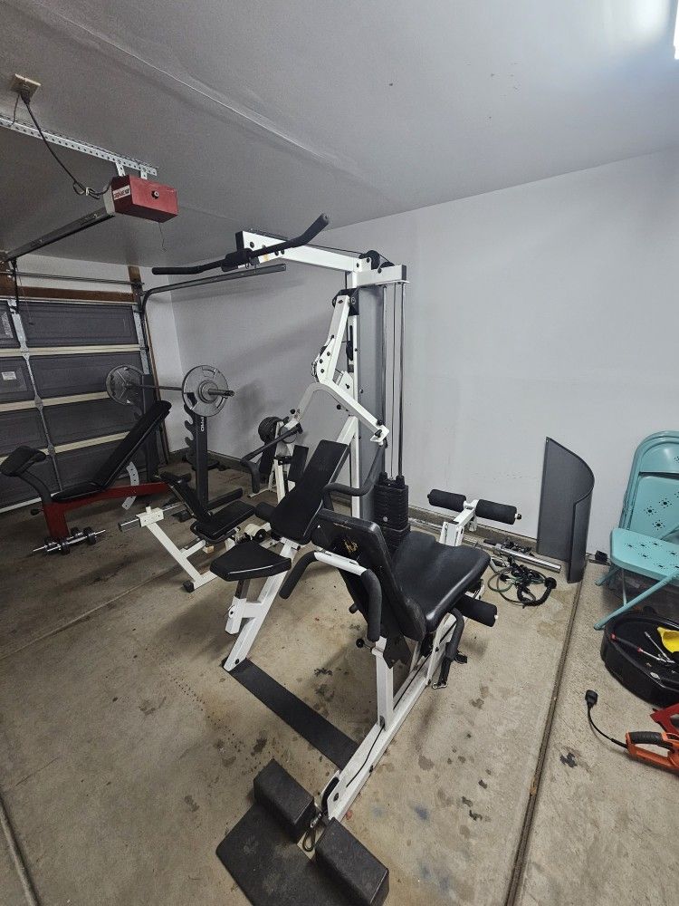 Complete Home Gym Setup: Multi-Gym, Bench Press & Punching Bag (Pickup Only)