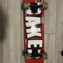 Skate Board