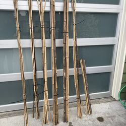Bamboo Pole Bundles (priced per bundle)