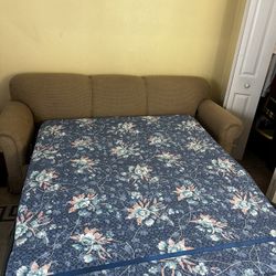 Pull Out Couch Bed