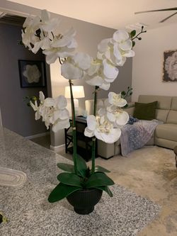 Faux plant- orchid