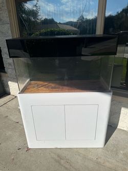 40 Gallon Acrylic Tank