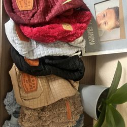 3-5 Lbs Yorkie Or Kitten Clothes