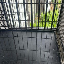 Kennel For Dogs 