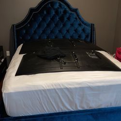Queen Upholstered Bed For Sale