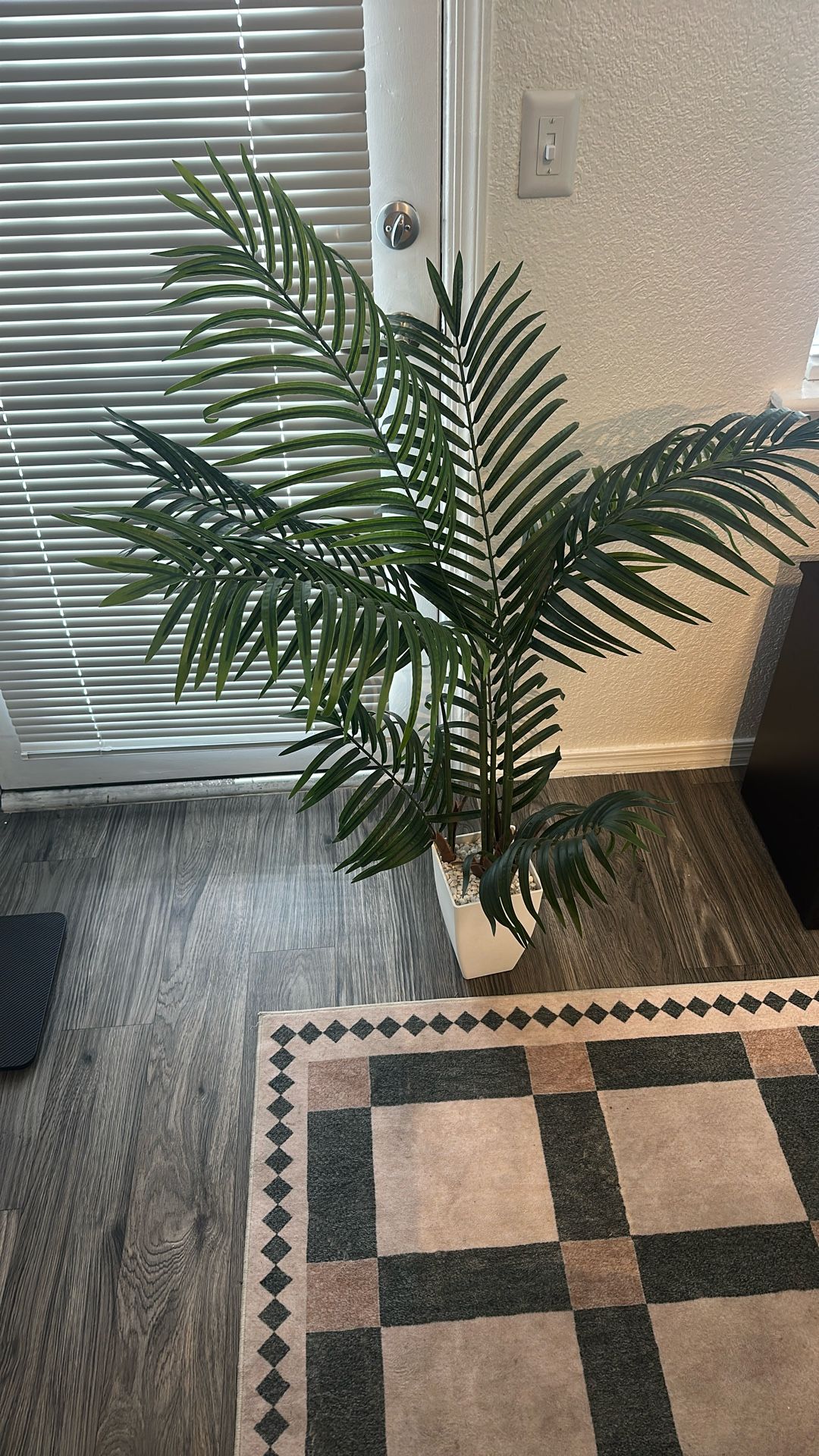 Plant - 4ft, Plastic with base