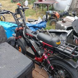 ARIEL RIDER GRIZZLY