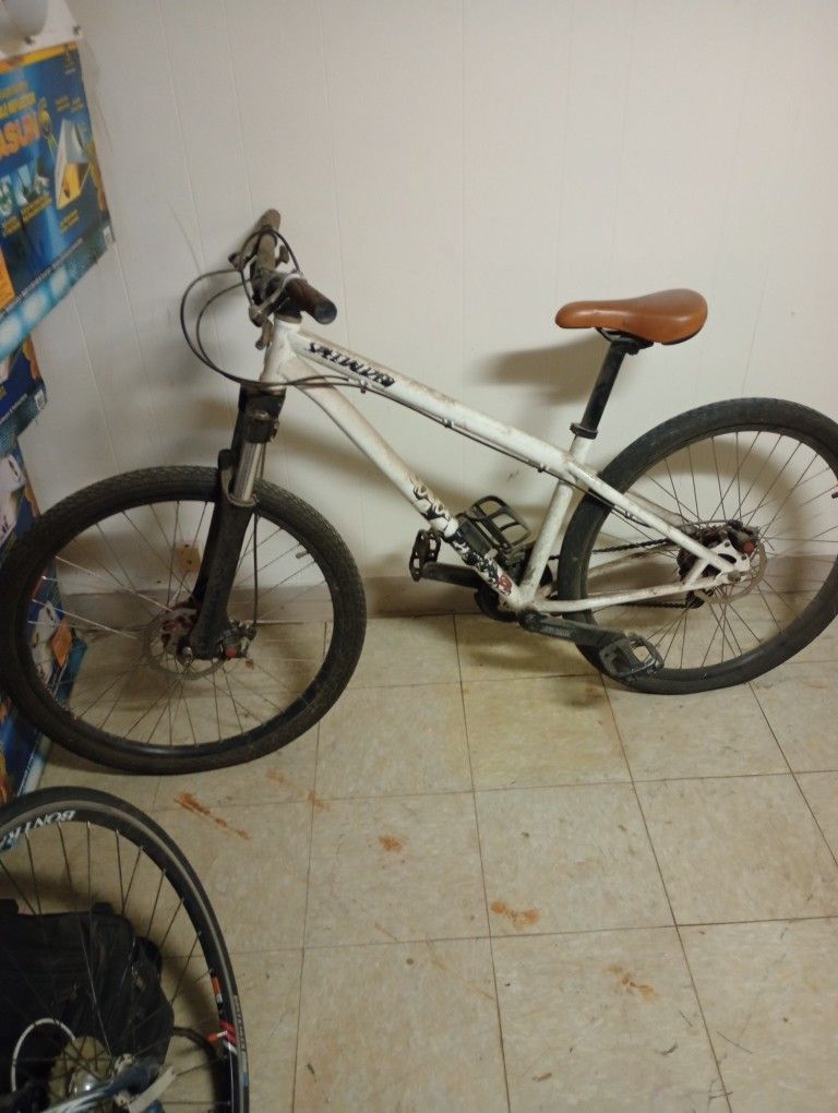 Specialized Mountain Bike (Heavy Duty)