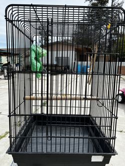 Bird Cage