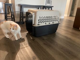 Hard-Sided Pet Travel Carrier Crate