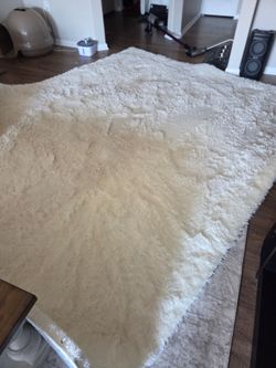 Vevor Living Area Rug