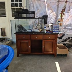 Reptile Fish Tank Set Up