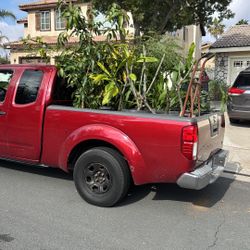 Se Hace Limpieza De Jardinería En General