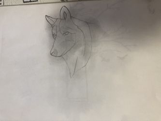 Custom Wolf Drawing